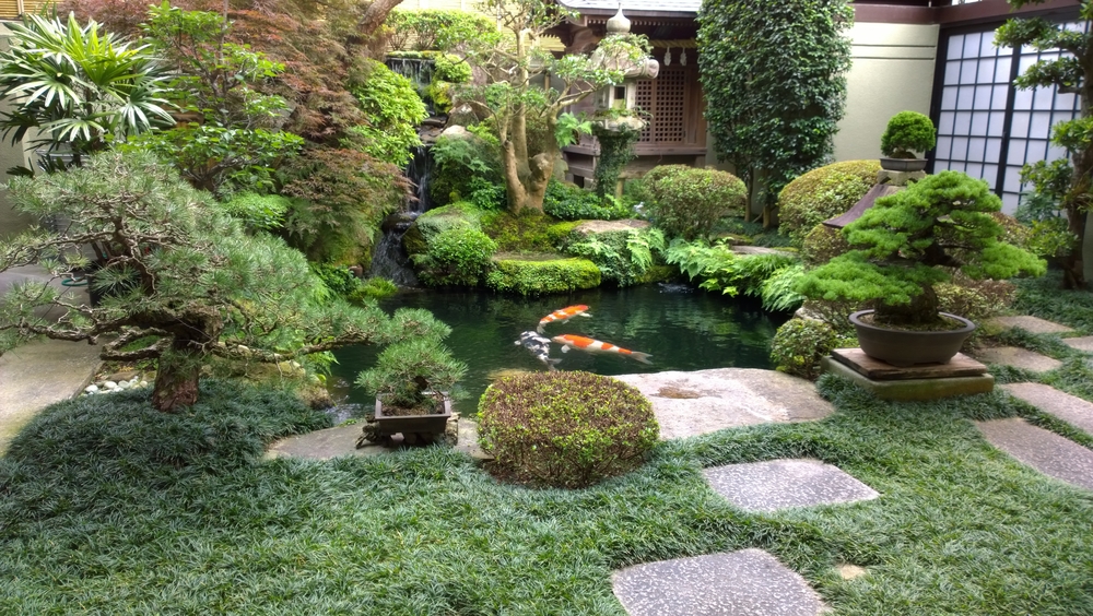 山田屋の庭っぽい写真